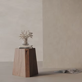 Side 3d model