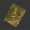 Green Moss Mat With Orange And Red Fallen Leaves Natural Plant Textured Surface Decor