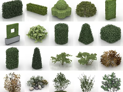 Various Shaped And Different Types Of Green Shrubs For Garden Landscaping Design 3d model