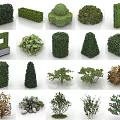 Various Shaped And Different Types Of Green Shrubs For Garden Landscaping Design