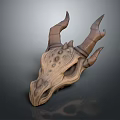 Detailed Animal Skull Organ Structure With Horns And Textured Bone Surface