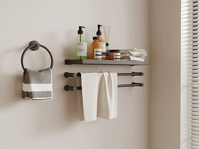 Modern Bathroom Accessories With Towel Ring Bars Shelf And Toiletries 3d model