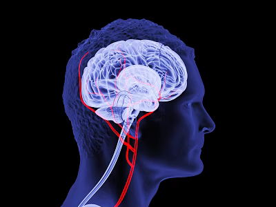 Innovative Medical Device For 3D Brain Imaging And Detailed Neural Structure Visualization 3d model