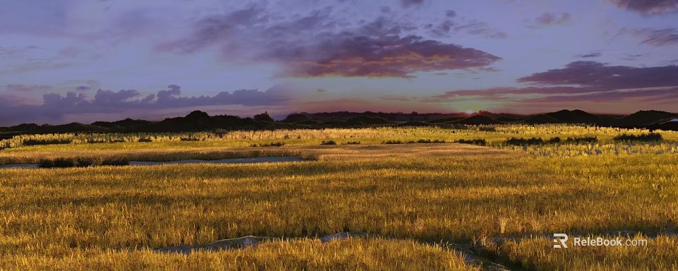 Gorgeous Natural Wetland Grassland Landscape With Warm Sunset Glow Under Soft Purple Cloudy Evening Sky 3d model 