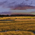 Gorgeous Natural Wetland Grassland Landscape With Warm Sunset Glow Under Soft Purple Cloudy Evening Sky