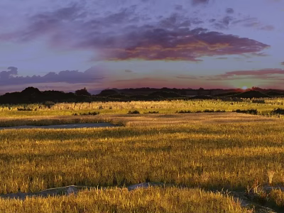 Gorgeous Natural Wetland Grassland Landscape With Warm Sunset Glow Under Soft Purple Cloudy Evening Sky 3d model