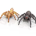 Realistic Detailed Yellow and Black Spider Figurines with Red Eyes on White Background
