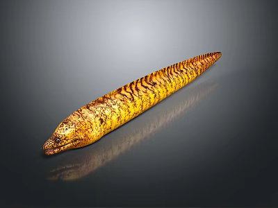Yellow And Black Striped Eel With Long Slender Body On Gray Background With Visible Reflection 3d model