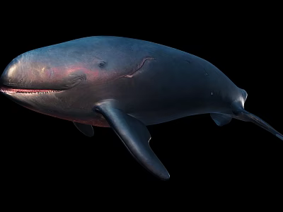Large Dark Whale Swimming Gracefully In Deep Ocean Water 3d model Large Dark Whale Swimming Gracefully In Deep Ocean Water 3d model