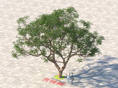 Lush Arbor With Thick Trunk Green Leaves And Brick Pavement Ground 3d model