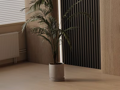 Potted Palm Plant in White Pot with Beige Walls Black Vertical Stripes and Light Floor 3d model