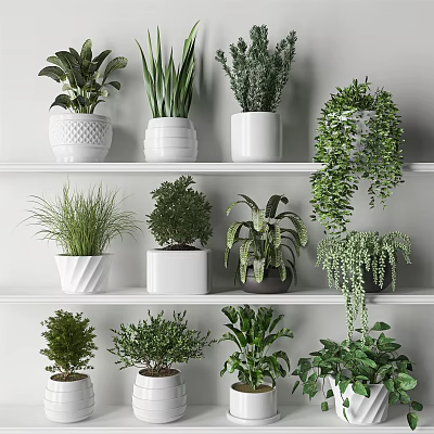 Modern potted plant potted fleshy combination 3d model