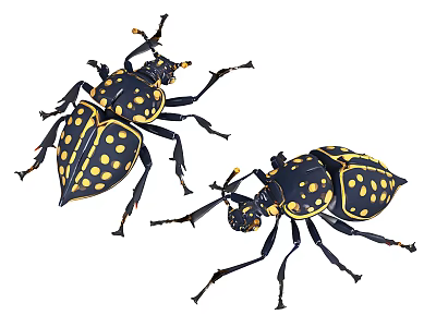 beetle pest animal yang color arm golden tortoise chafer beetle rhinoceros horn golden tortoise especially rhinoceros golden tortoise beetle 3d model