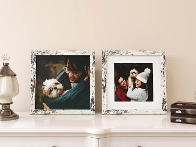 Two White Distressed Frames With Family Pet Photos On White Dresser Near Table Lamp And Books 3d model