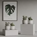 Cactus Potted Plants Interior Decor With White Cube Pedestals And Monstera Leaf Painting