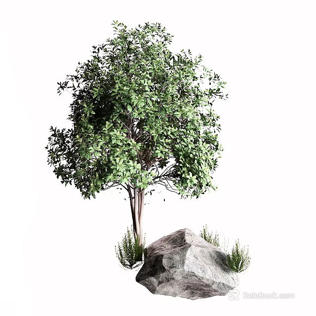 Lush Green Arbor With Dense Foliage And Large Rock Surrounded By Small Plants 3d model 