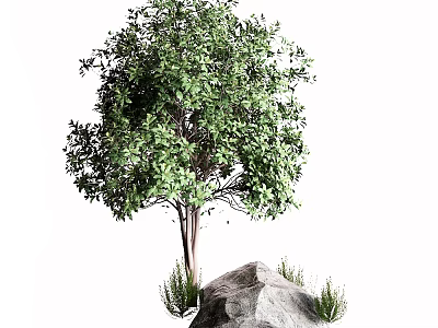Lush Green Arbor With Dense Foliage And Large Rock Surrounded By Small Plants 3d model