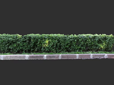 Park Landscape With Lush Green Hedge And Stone Brick Border 3d model