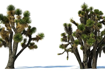 Modern Shrubs Tropical Plants Green Plants Landscape Desert 3d model