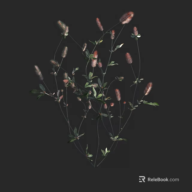 Delicate Wildflowers Featuring Green Foliage And Pink Spikes On Slender Stems 3d model 