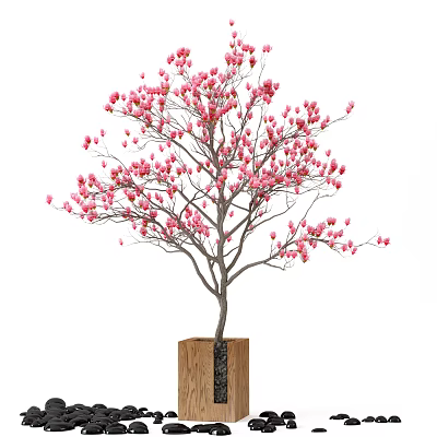 Bonsai Tree With Pink Flowers In Wooden Pot For Interior Decoration 3d model