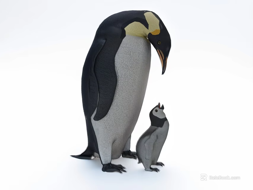 Adult Emperor Penguin Standing With Baby Penguin Chick on White Background 3d model 