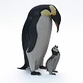 Adult Emperor Penguin Standing With Baby Penguin Chick on White Background