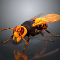 Yellow and Black Hornet with Red Eyes Orange Wings Detailed 3D Render Dark Background Reflection