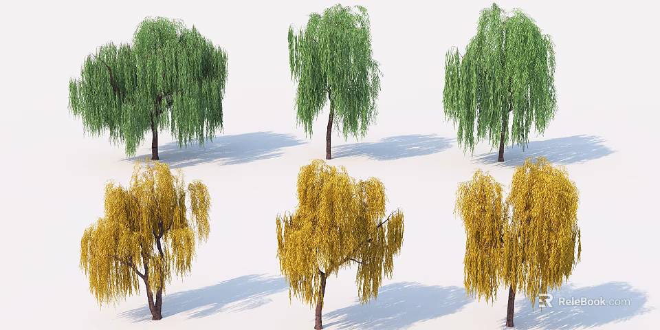 Weeping Willow Trees With Green And Yellow Foliage For Seasonal Landscaping 3d model 