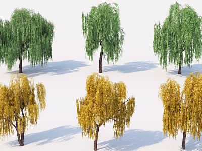 Weeping Willow Trees With Green And Yellow Foliage For Seasonal Landscaping 3d model