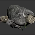 Cute Koala Clinging to Tree Branch Holding Fresh Eucalyptus Leaves 3d model