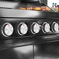 Modern Kitchen Interior With Grill Refrigerator Cabinets Spice Bottles And Potted Plant