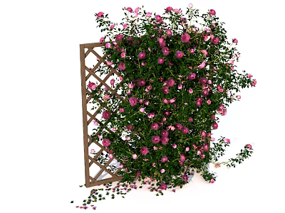 Lush Climbing Flowers With Pink Purple Blooms And Green Leaves On Wooden Trellis 3d model
