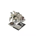 Decorative Ornament Set with White Flowers in Clear Glass Vase Brown Bowl Books and Tray