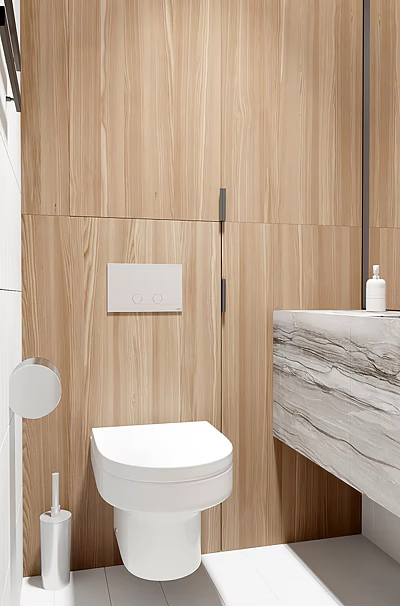 Modern Minimalist Bathroom Interior With Wooden Walls Toilet Marble Countertop 3d model