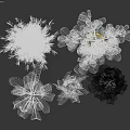 Green Garden Decor Plants With Various Sizes Different Leaf Shapes And White Black Beige Pots