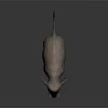 Realistic Gray Elephant with Tusks Standing on Dark Background Showing Smooth Skin Reflection
