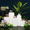 Elegant Modern Display Cabinet Design with White Stands Flower Bouquets Green Plants and Decorative Jars
