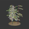Three Lush Green Trees with Brown Trunks on Sandy Base and Dark Background