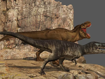 Two Large Reptiles Standing On Rocky Terrain With Open Mouths 3d model