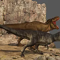 Two Large Reptiles Standing On Rocky Terrain With Open Mouths