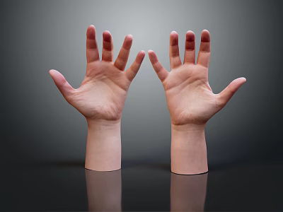 Human Hands with Palms Facing Each Other and Fingers Spread on Dark Background with Reflection 3d model