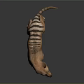 Wild Canine Animal With Brown Fur Black Stripes And Long Tail