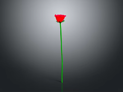 Single Red Rose Plant With Long Green Stem Set Against Plain Gray Background 3d model