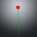 Single Red Rose Plant With Long Green Stem Set Against Plain Gray Background 3d model