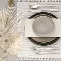 Modern Ceramic Dinnerware Set With Striped Placemats Decorative Glassware And Dried Plant Decor
