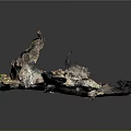 Natural Rock Formation With Cave Like Depressions Green Moss And Textured Surface