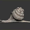Snail Sculpture Displaying Textured Spiral Shell Long Body And Antennae 3d model