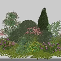 Diverse Flowering Shrubs in Garden Landscape With Purple Pink Flowers Green Foliage Conical Round Shapes