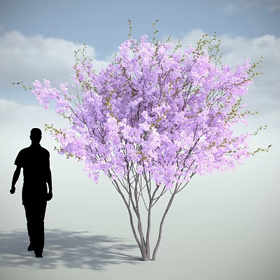 Purple Flowering Tree With Human Silhouette Against Blue Sky And White Clouds 3d model